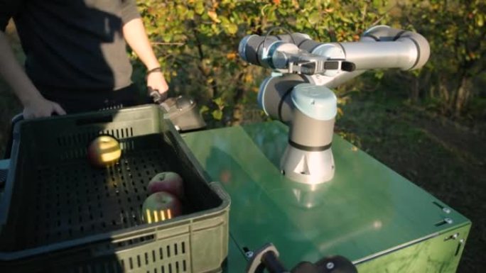无法识别的工程师正在准备和调整用于收割的农业机器人