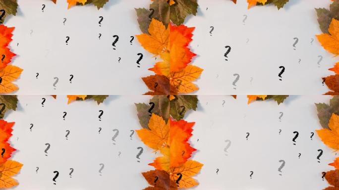 白色背景上的树叶上的问号动画