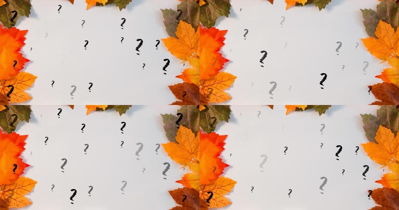 白色背景上的树叶上的问号动画