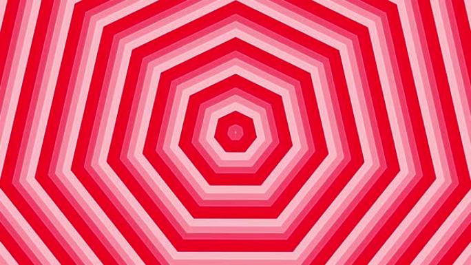 白色背景循环上的红色粗体圆圈简单的平面几何。圆形七边形无线电波无尽的创意动画。环无缝运动图形背景。球