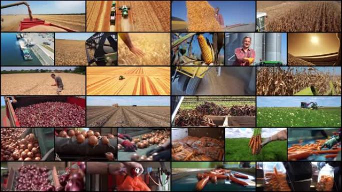 全球农业生产和国际农业食品贸易