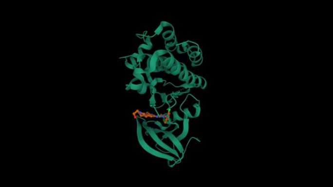 Lyn酪氨酸激酶结构域-达沙替尼复合物