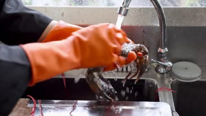 厨师在手套清洁和在水槽中准备新鲜螃蟹时的近距离之手。