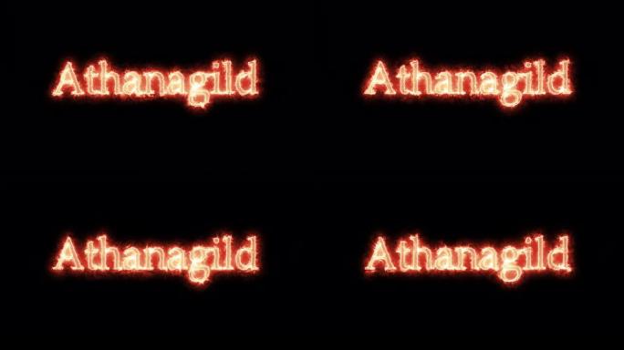 西哥特人的国王亚他那吉尔德，用火写的。循环