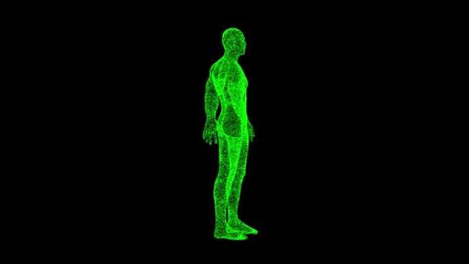 3D人体在黑色背景上旋转。物体溶解绿色闪烁粒子60 FPS。科学概念。标题、演示文稿的抽象bg。全息