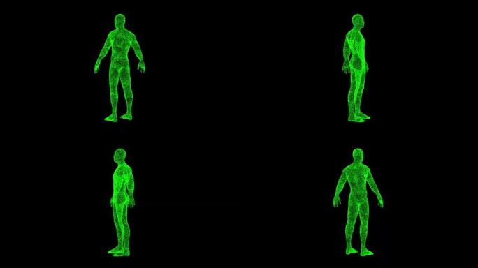 3D人体在黑色背景上旋转。物体溶解绿色闪烁粒子60 FPS。科学概念。标题、演示文稿的抽象bg。全息