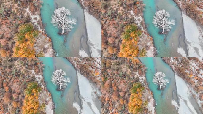 秋天，沿着喀喇昆仑山公路和小村庄，位于喜马拉雅山喀喇昆仑山区吉尔吉特河中部的枯树的风景鸟瞰图。巴基斯