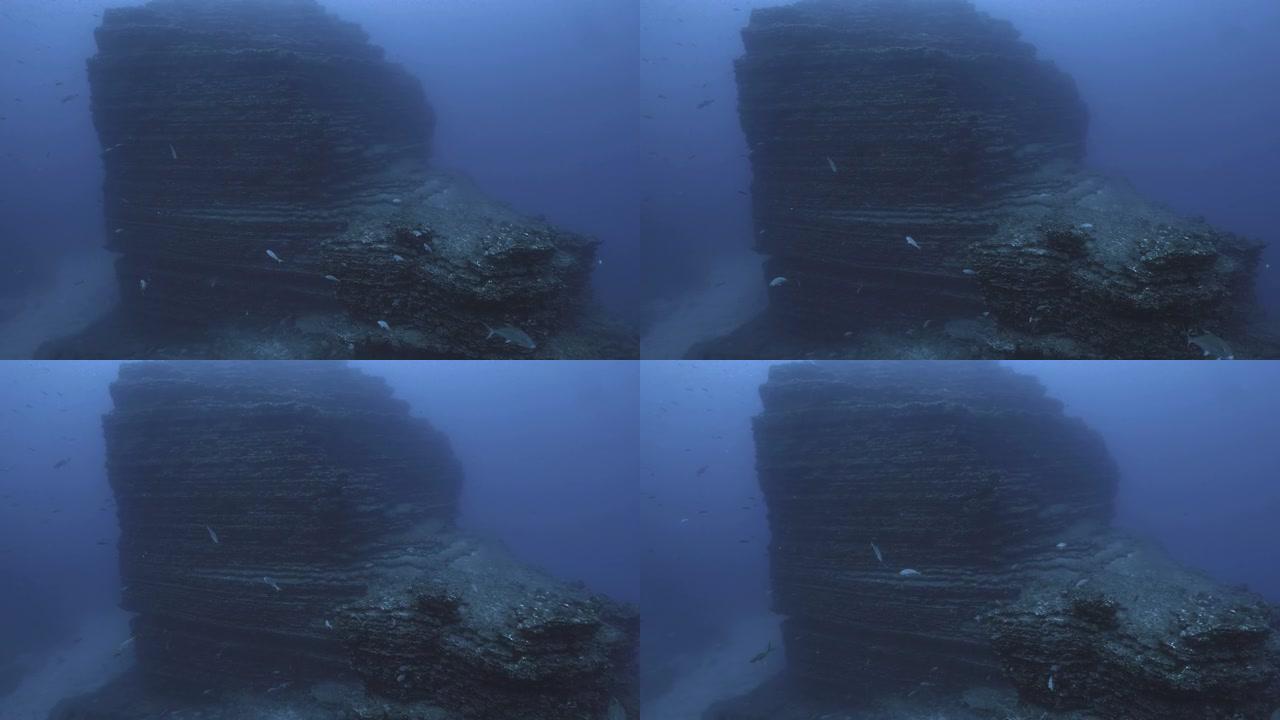 太平洋岩石礁的水下拍摄