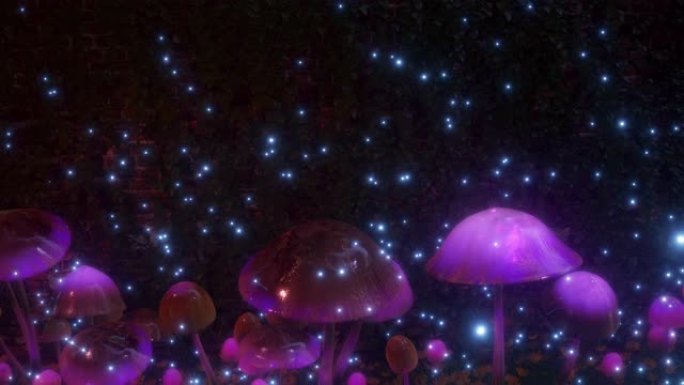 魔法蘑菇运动图形3D动画魔法森林背景Vj循环4k