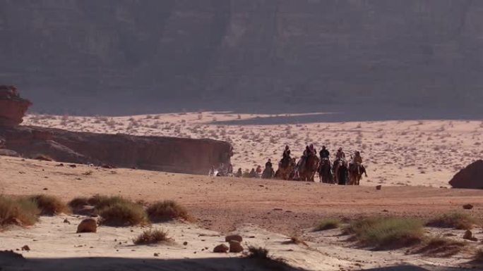 瓦迪朗姆酒中的骆驼商队