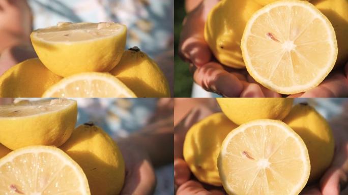 柠檬水果。晴朗的晴天，美丽的新鲜柠檬在女性手掌中的特写镜头，相机缓慢移动