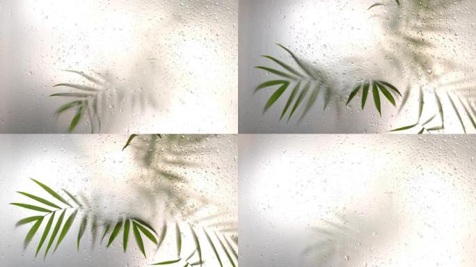 树叶阴影效果的树枝。模糊的图片，带有树叶剪影的雾效果。选择性聚焦。模糊运动背景