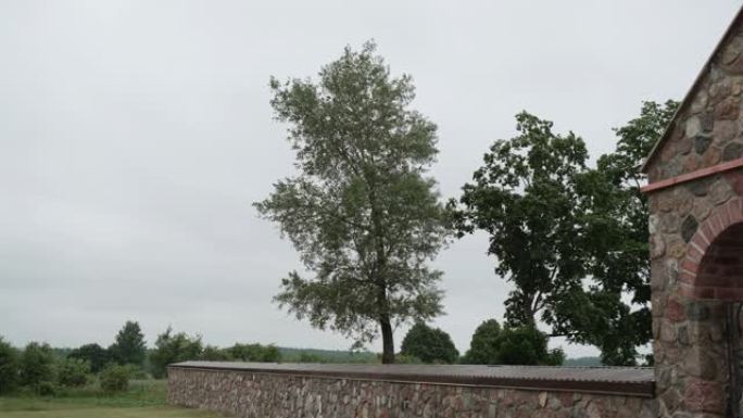 高大的绿色杨树，橡树在多云的天空下生长在石头篱笆后面。