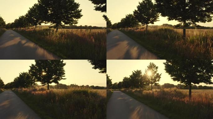 阳光照耀着树木，美丽的慢速相机飞行，无人机经过一条道路，树木朝着日落的方向行驶。拥有奇妙的背光