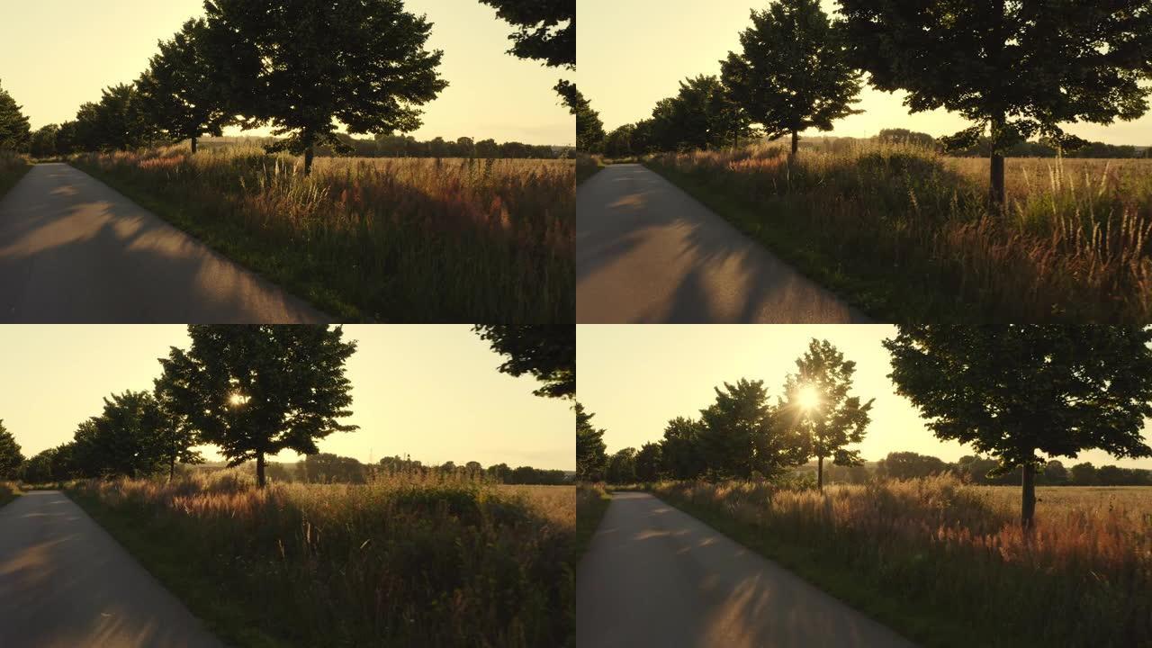 阳光照耀着树木，美丽的慢速相机飞行，无人机经过一条道路，树木朝着日落的方向行驶。拥有奇妙的背光