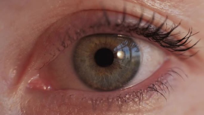 眼科检查女性眼球视焦点