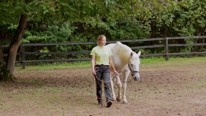 女教练带着美丽的白马在牧场上兜风