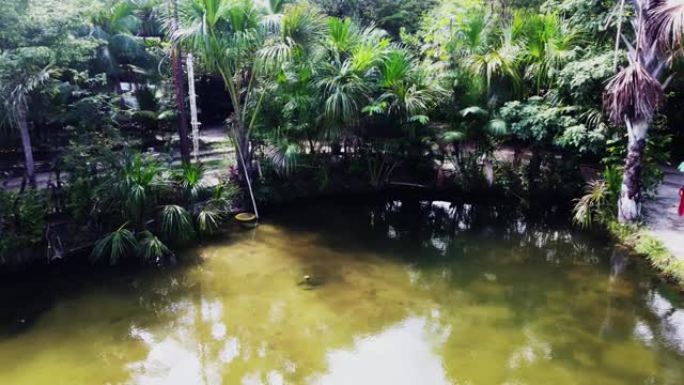 在环绕空中视频的泻湖摄像机的水中在棕榈树下露营