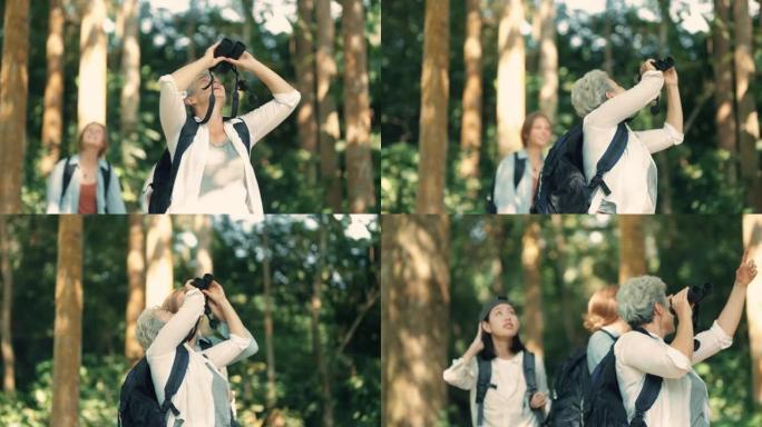 老年妇女使用双筒望远镜在森林中寻找鸟类。