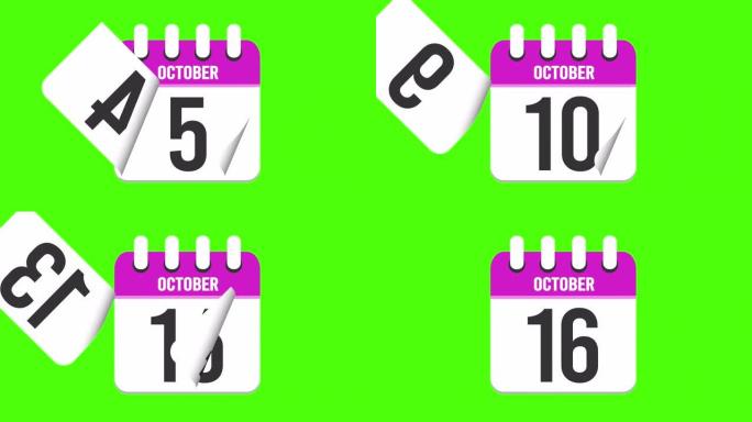 10月16日。日历出现，页面下降到10月16日。绿色背景，色度键 (4k循环)