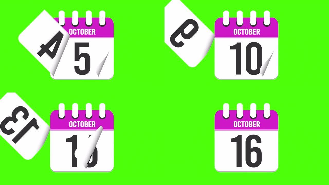 10月16日。日历出现，页面下降到10月16日。绿色背景，色度键 (4k循环)