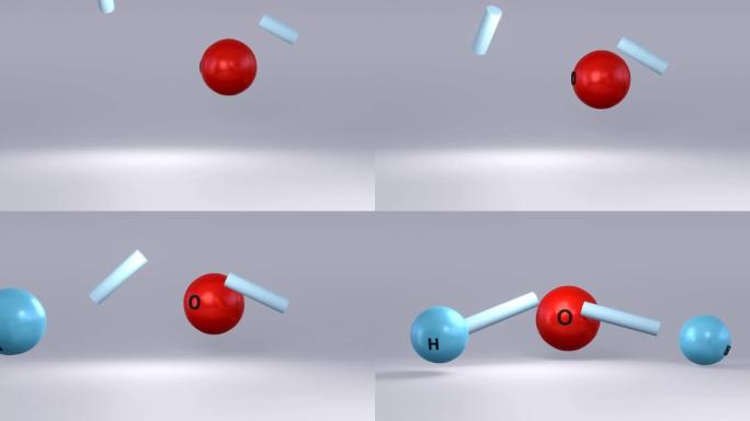 水分子。