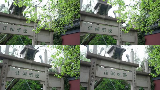 杭州钱王祠春天清明节雨天古建筑自然唯美