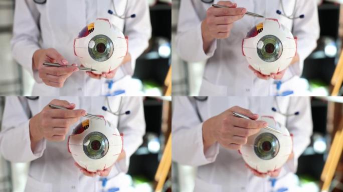 眼科医生在解剖模型上用笔显示眼睛的结构特写4k电影慢动作