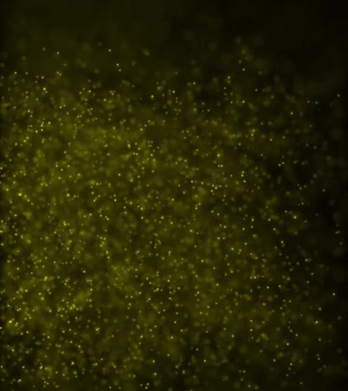 4k抽象粒子波Bokeh背景-美丽闪光循环股票视频