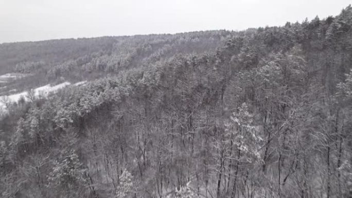 山地冬季森林上空的空中无人机视图。白雪覆盖的树木。奇妙的早晨，平静的背景，放松，地球之美，自然概念