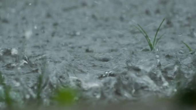 落在草地上的雨水飞溅不会完全吸收并形成水坑