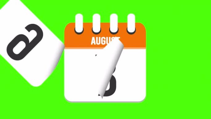 8月10日。日历出现，页面下降到8月10日。绿色背景，色度键 (4k循环)