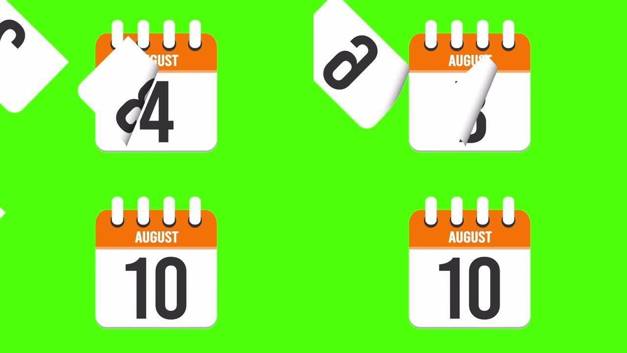 8月10日。日历出现，页面下降到8月10日。绿色背景，色度键 (4k循环)