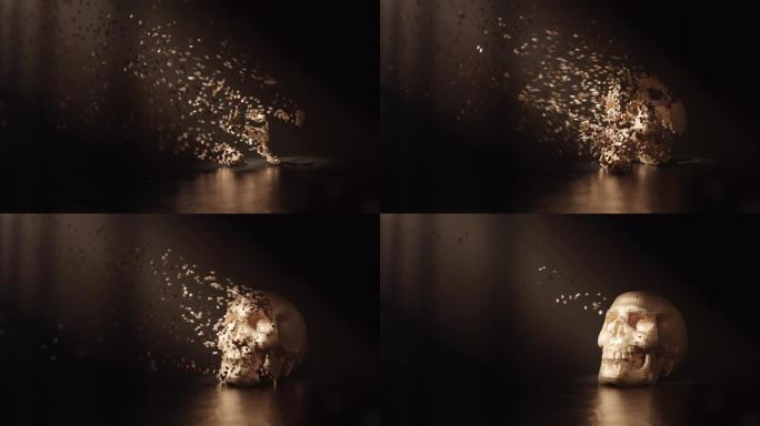 小尘埃粒子转变为头骨。