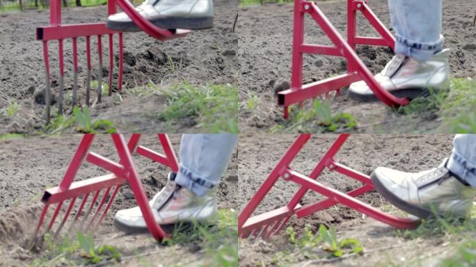一个穿着牛仔裤的农民用红色叉形铁锹挖地。奇迹铲子，方便的工具。手动中耕机。耕种机是一种有效的耕作手工
