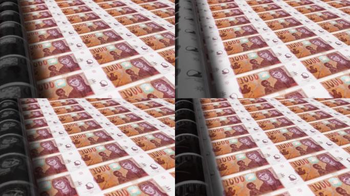马其顿，北马其顿Denar印刷机打印出当前1000 Denar钞票，无缝循环，马其顿货币背景，4K，