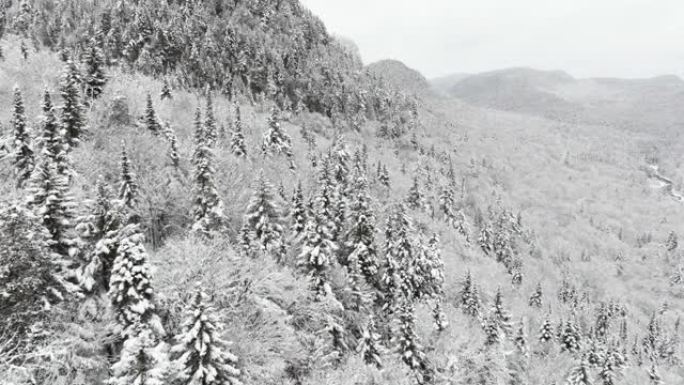 加拿大魁北克，暴风雪后冬季北方自然森林的鸟瞰图