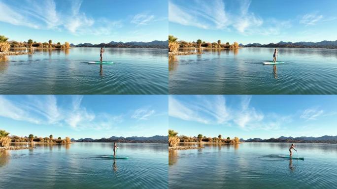年轻女子在宁静的湖上站起来划桨 (SUP)