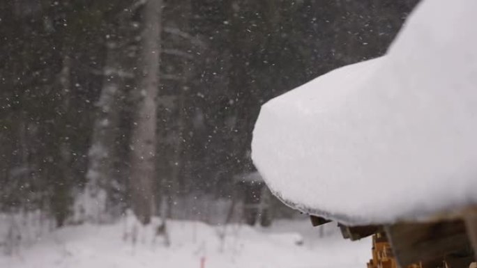 爱沙尼亚冬季雪雨的尘埃