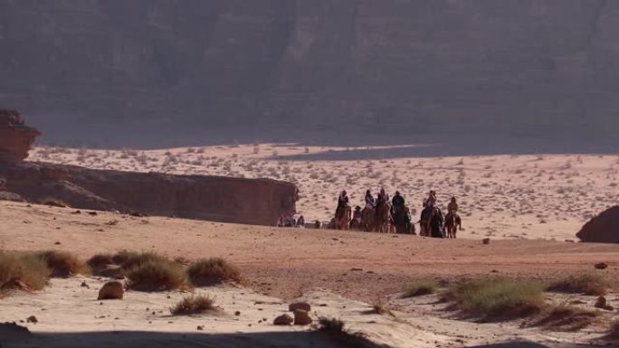 瓦迪朗姆酒中的骆驼商队