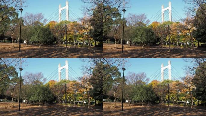 木场公园秋季，东京日本2022年12月