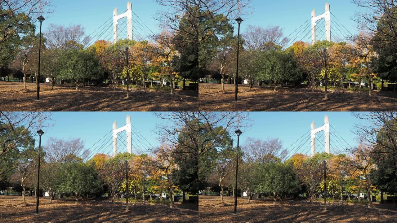 木场公园秋季，东京日本2022年12月