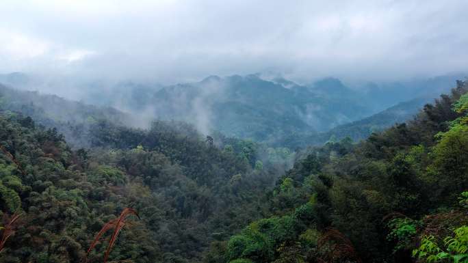 蜀南竹海 云雾山峦 俯拍