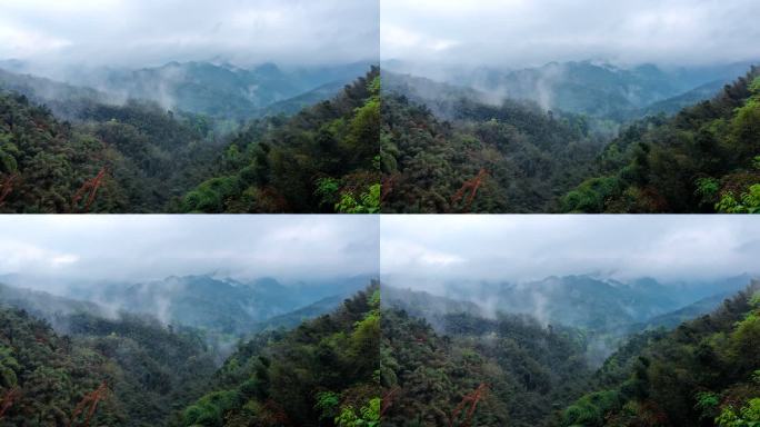 蜀南竹海 云雾山峦 俯拍