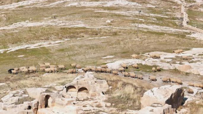 鸟瞰达拉古洞穴城，达拉古城周围放牧的羊群，古城中的牧羊人和羊群，马尔丁的历史地标，达拉古城，发现美索
