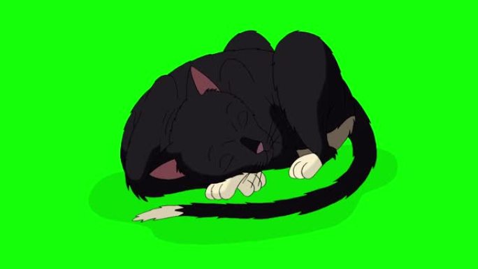 黑猫睡眠色度键4K