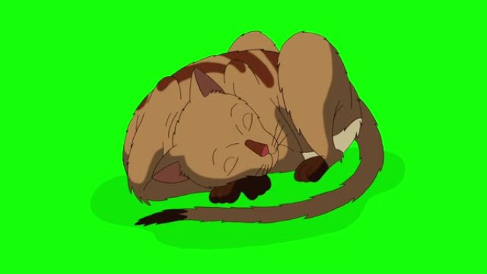 红色虎斑猫睡眠色度键高清
