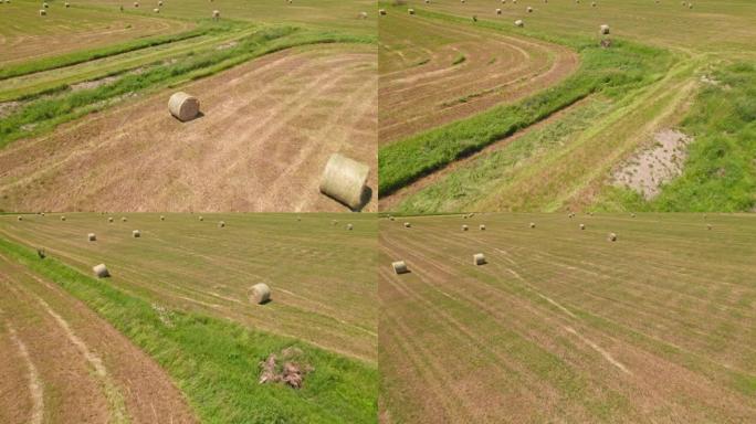 收割谷物作物后留在田里的草和小麦卷的鸟瞰图。收获秸秆干草，用于喂养农场动物、牛、马和羊。收获季节结束