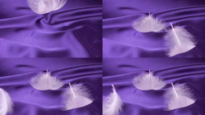 白色的天鹅羽毛落在紫色的丝绸上。慢动作。