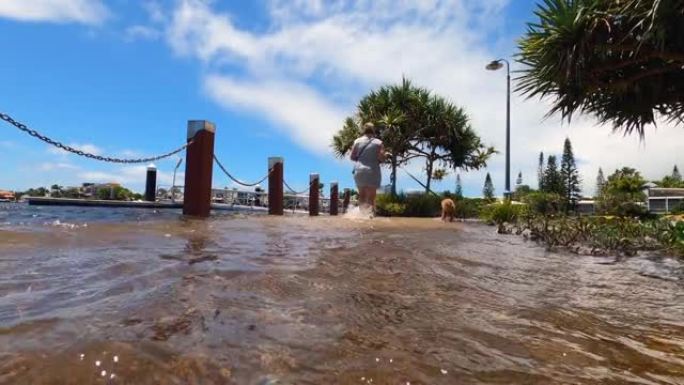 在昆士兰州的一个海滨郊区，一名中年妇女和她的狗一起穿过脚踝深的水，穿过一条被水淹没的小路。